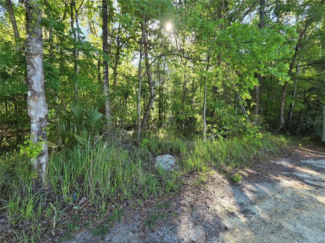 0000 SE 42nd Ct., Belleview, FL 34420