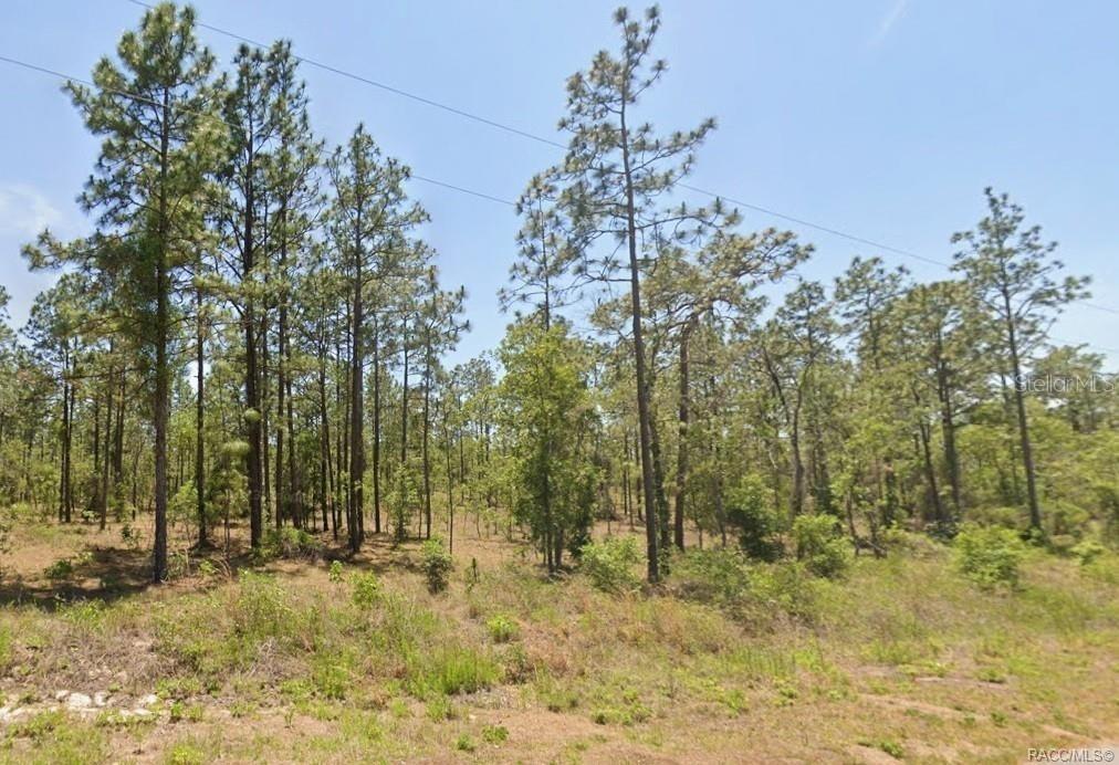 NW Water Oak #5, Dunnellon, FL 34431