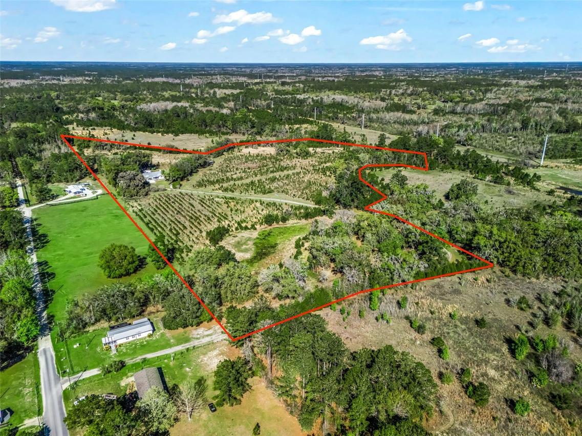 6350 NE 86th Ave., Bronson, FL 32621