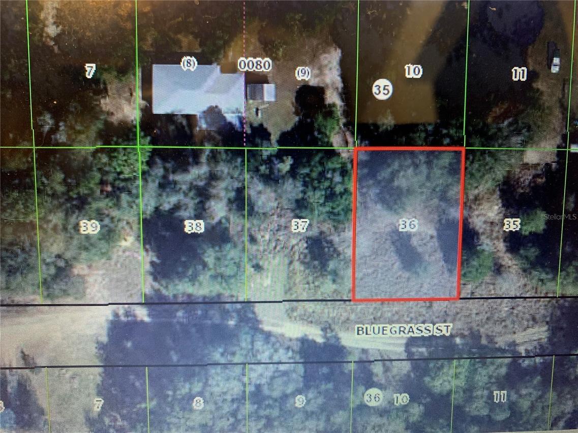 2406 Bluegrass St., Inverness, FL 34453