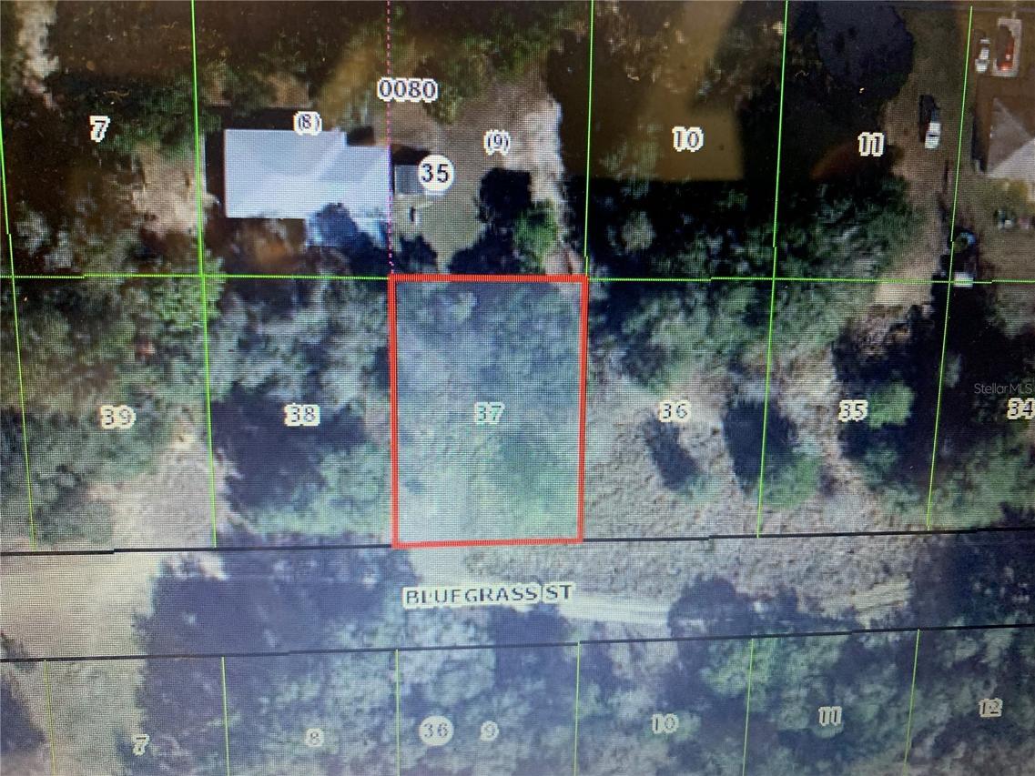 2408 Bluegrass St., Inverness, FL 34453