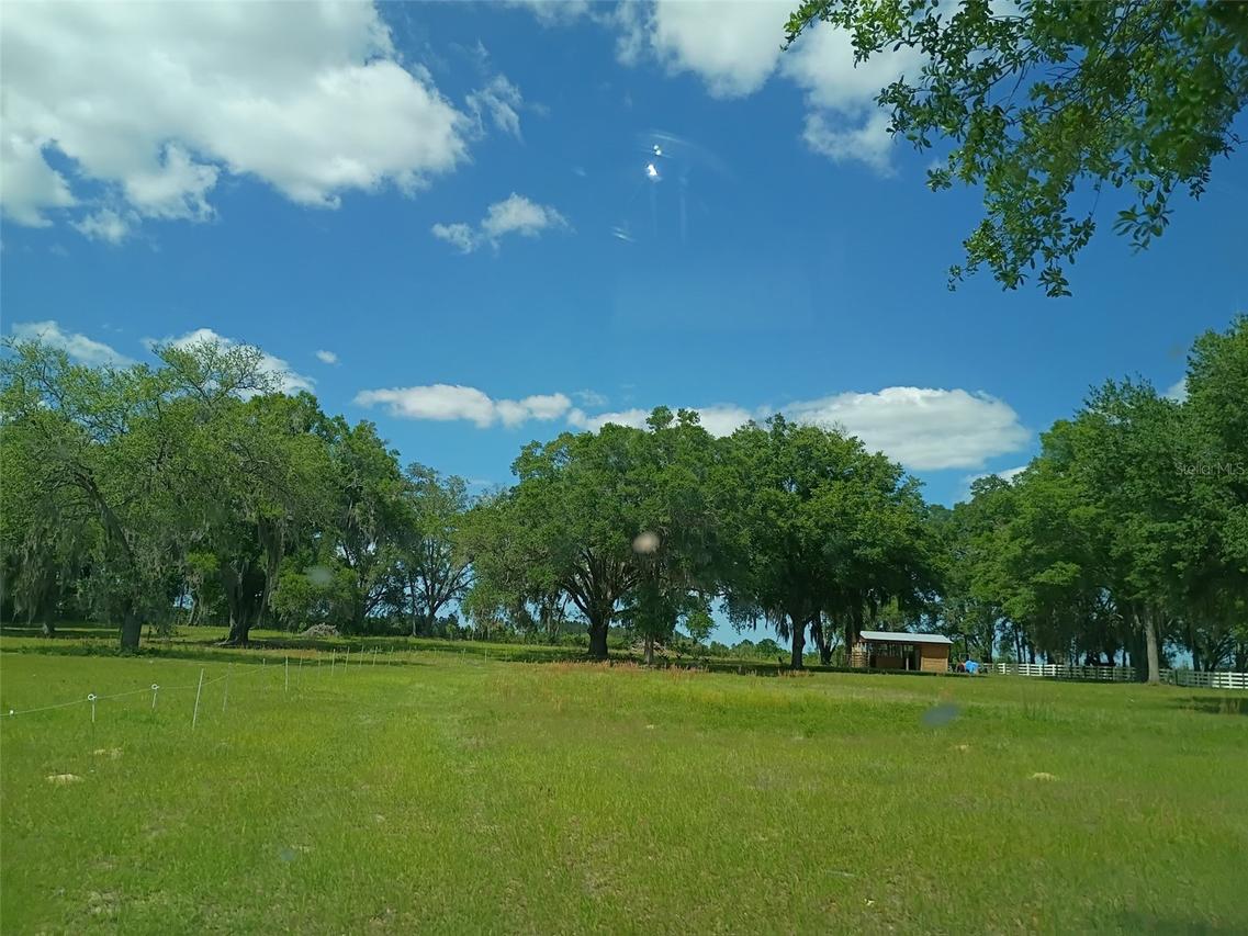 Lot #7 SE 66th Pl., Morriston, FL 32668