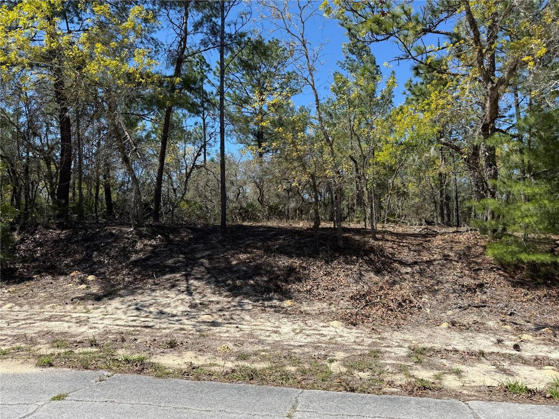 10776 N Moreno Dr., Dunnellon, FL 34433