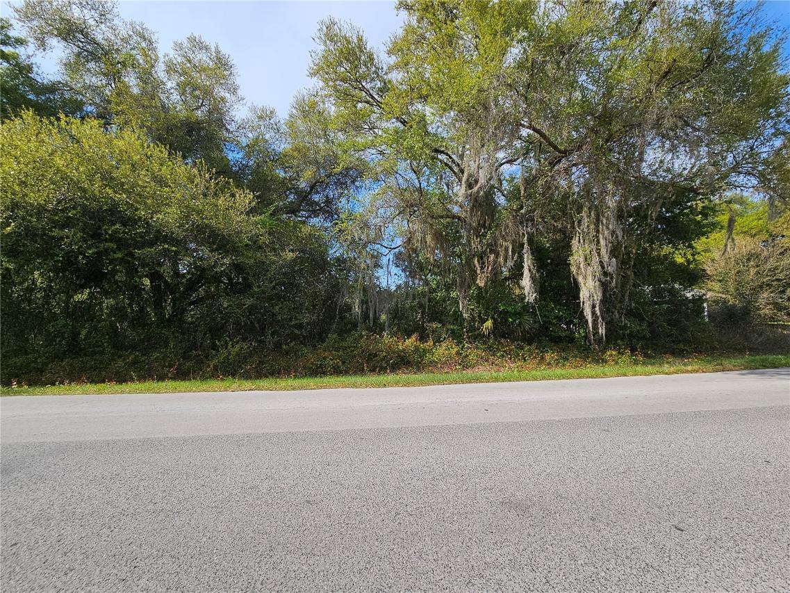 LOT 14 Locust Run Course, Ocala, FL 34472