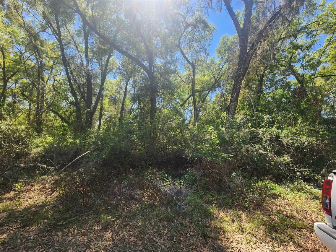 Se 28th Ct., Summerfield, FL 34491