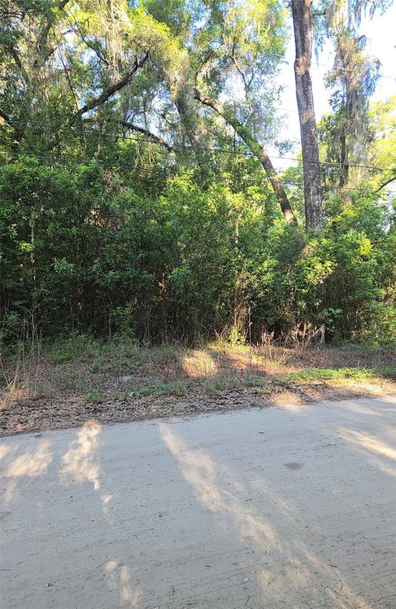 Se 28th Ct., Summerfield, FL 34491