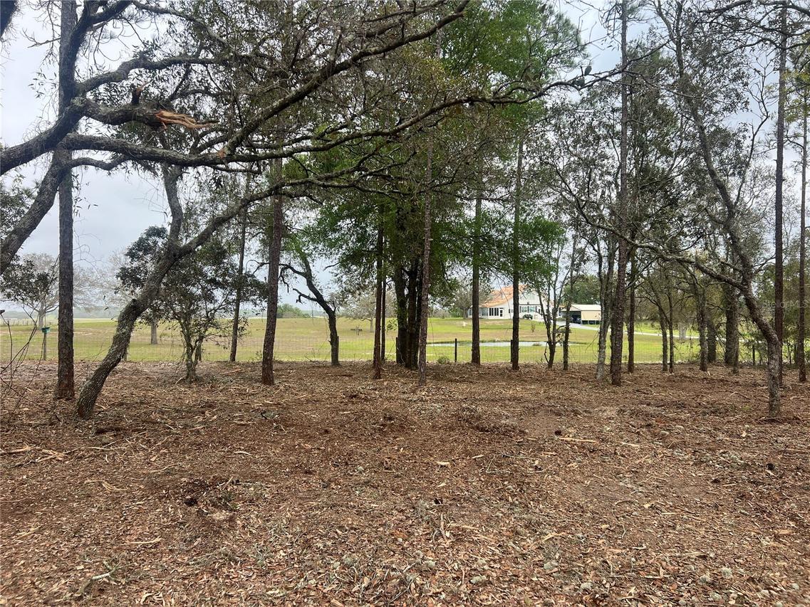 Lot 25 SW Timberlake Rd., Dunnellon, FL 34431