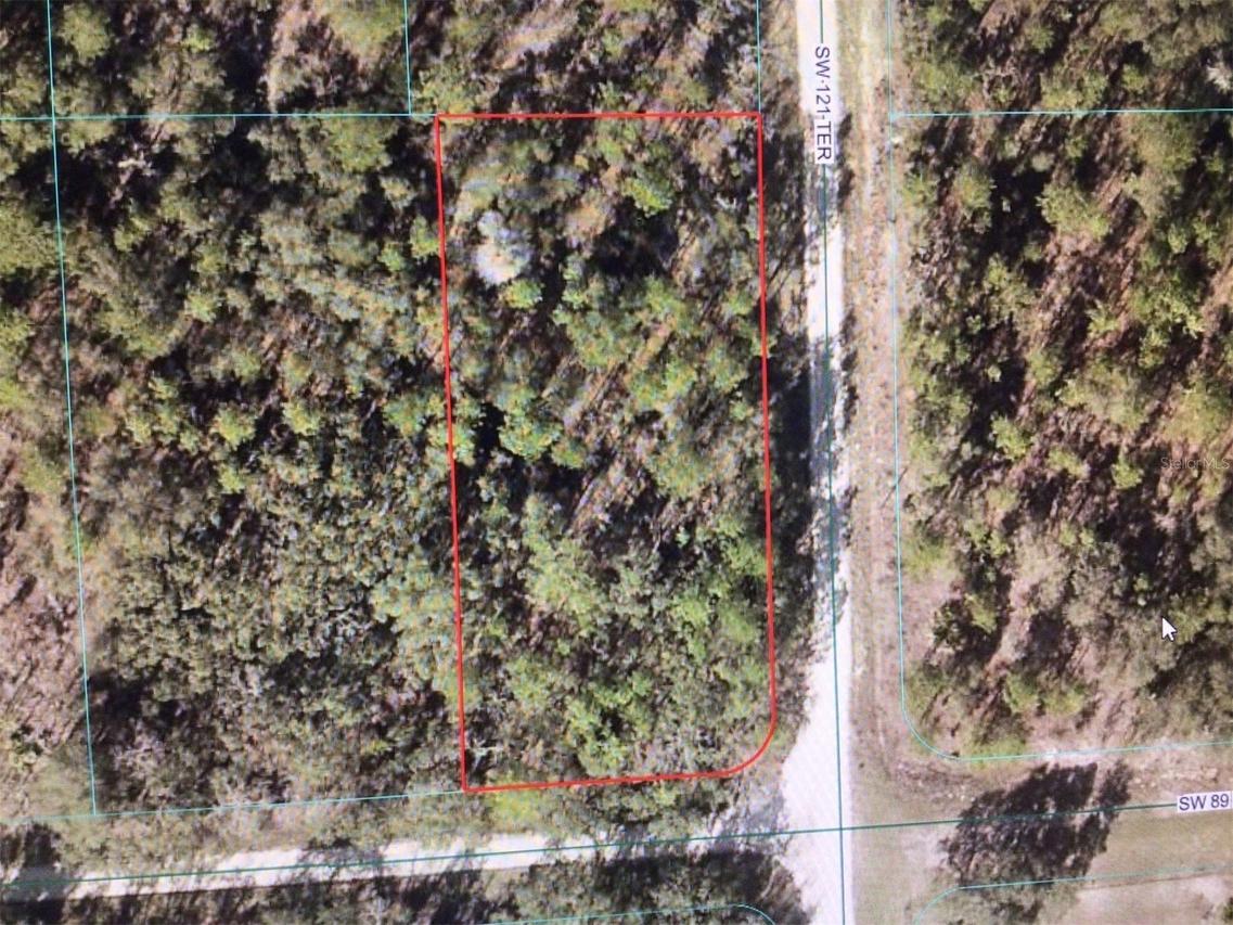 SW 89 St., Dunnellon, FL 34432