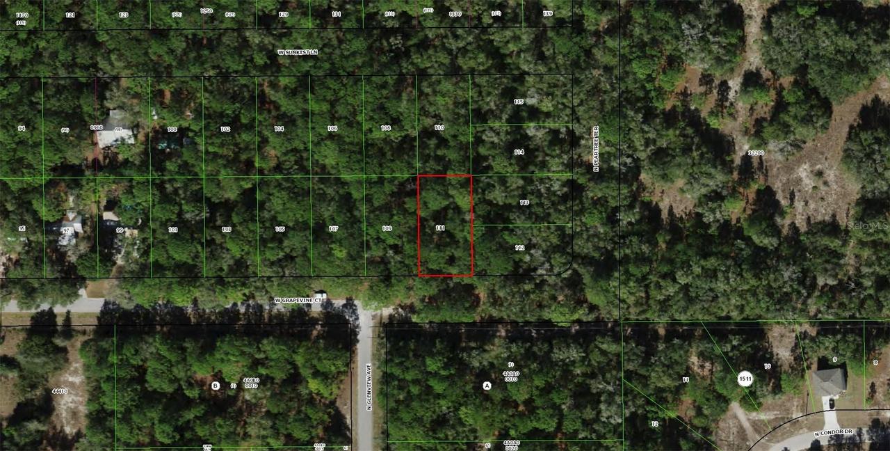 2797 W Grapevine Ct., Dunnellon, FL 34433