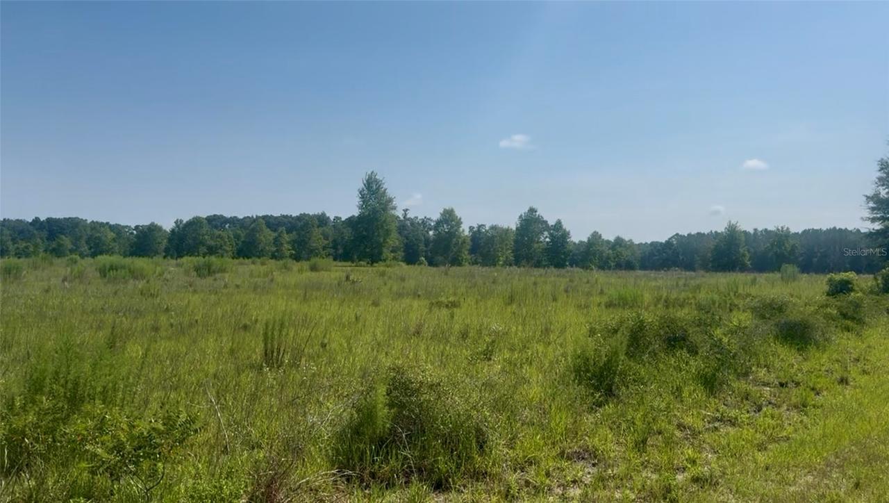 974 SW Sherlock Ter., Lake City, FL 32024