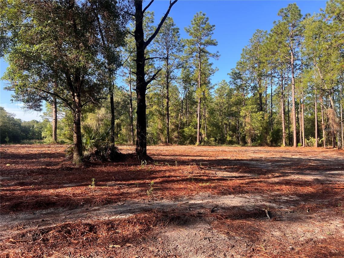 24 SE 130 Ct., Dunnellon, FL 34431