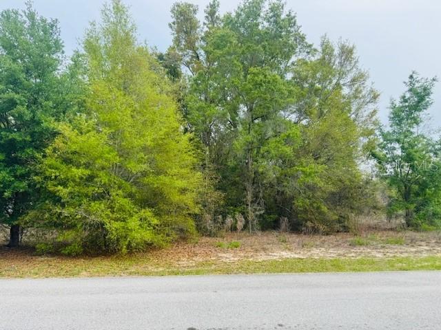 SW 83rd St., Dunnellon, FL 34431