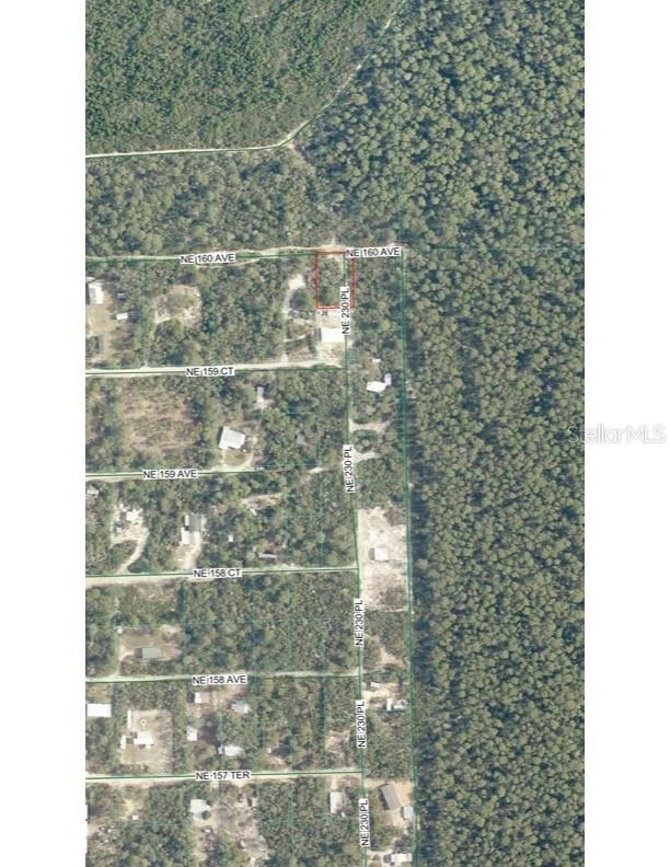 TBD NE 213th St., Fort Mc Coy, FL 32134