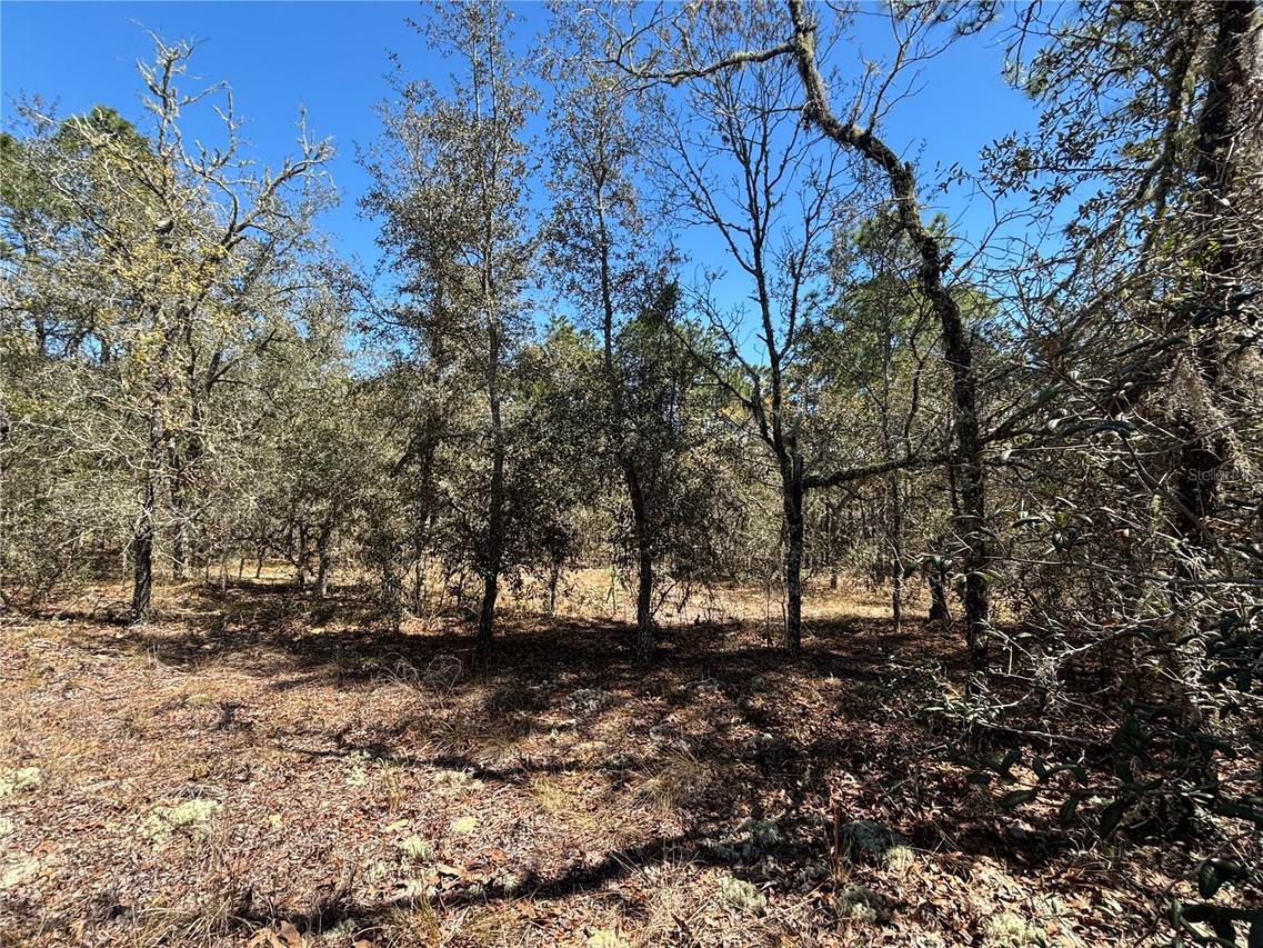 0000 SW Hillcrest Ave., Dunnellon, FL 34431