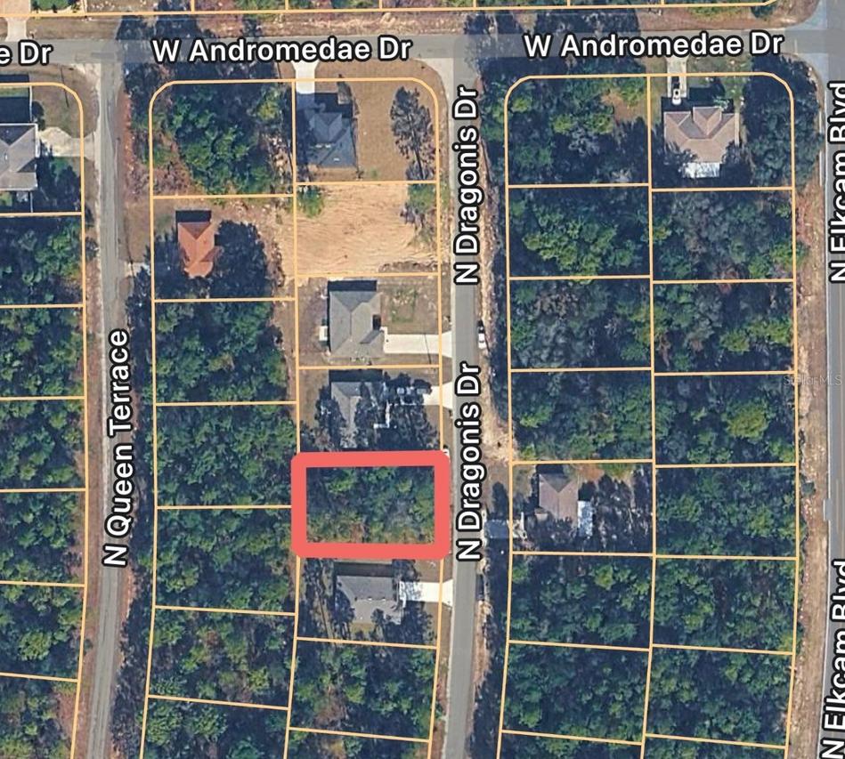 10924 N Dragonis Dr., Citrus Springs, FL 34433