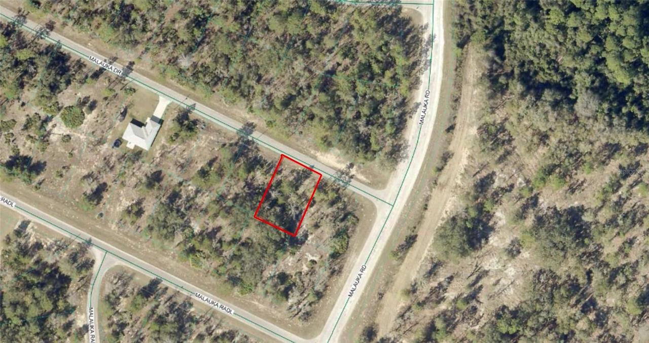 TBD Malauka Dr., Ocklawaha, FL 32179