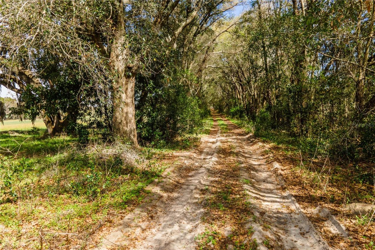 TBD SW 298 St., Newberry, FL 32669