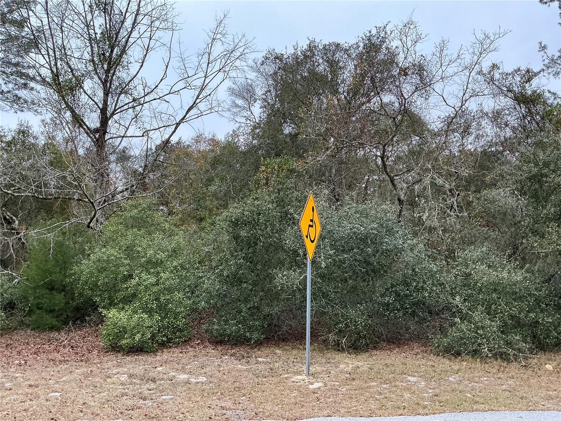 00 SW 137th Loop, Ocala, FL 34473
