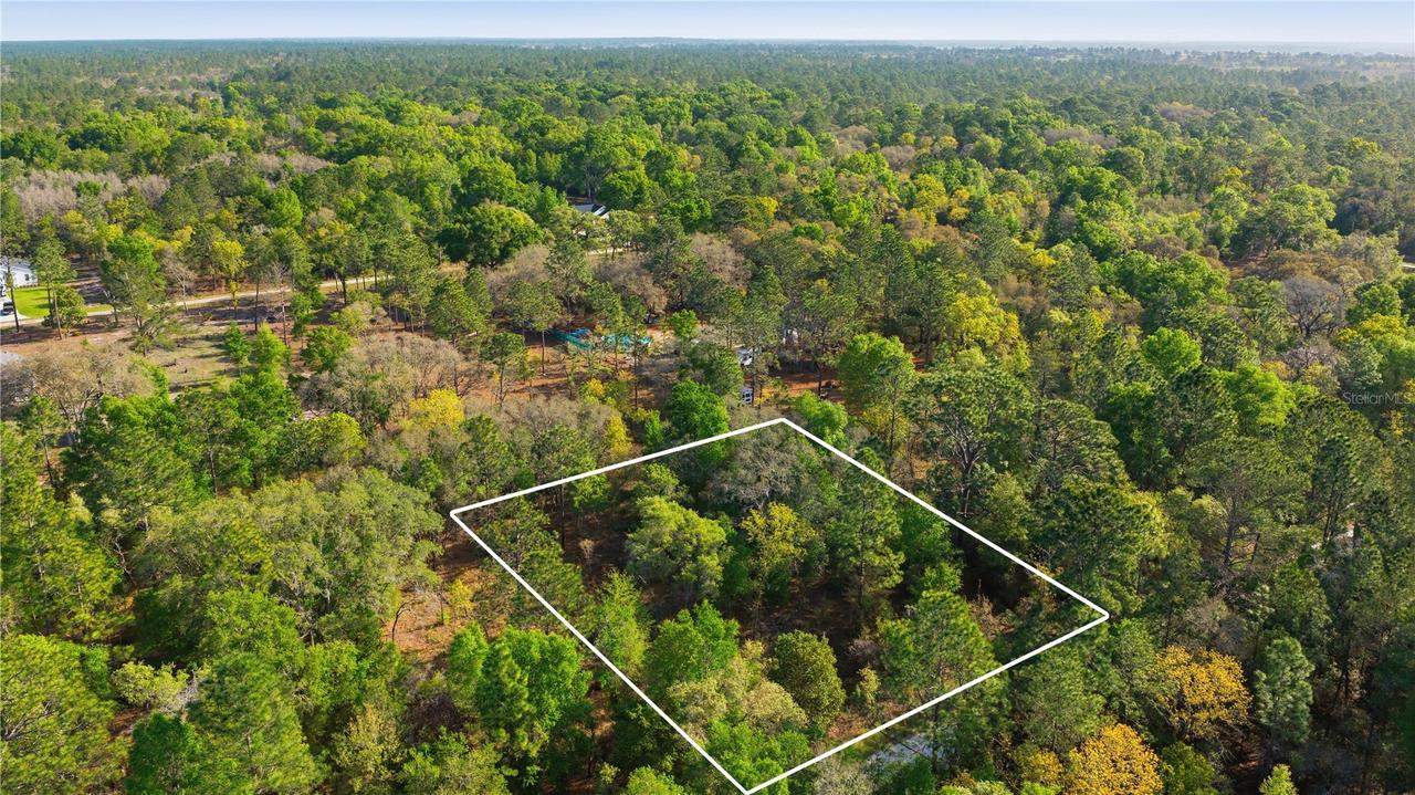 12701 SW 96th Ln., Dunnellon, FL 34432