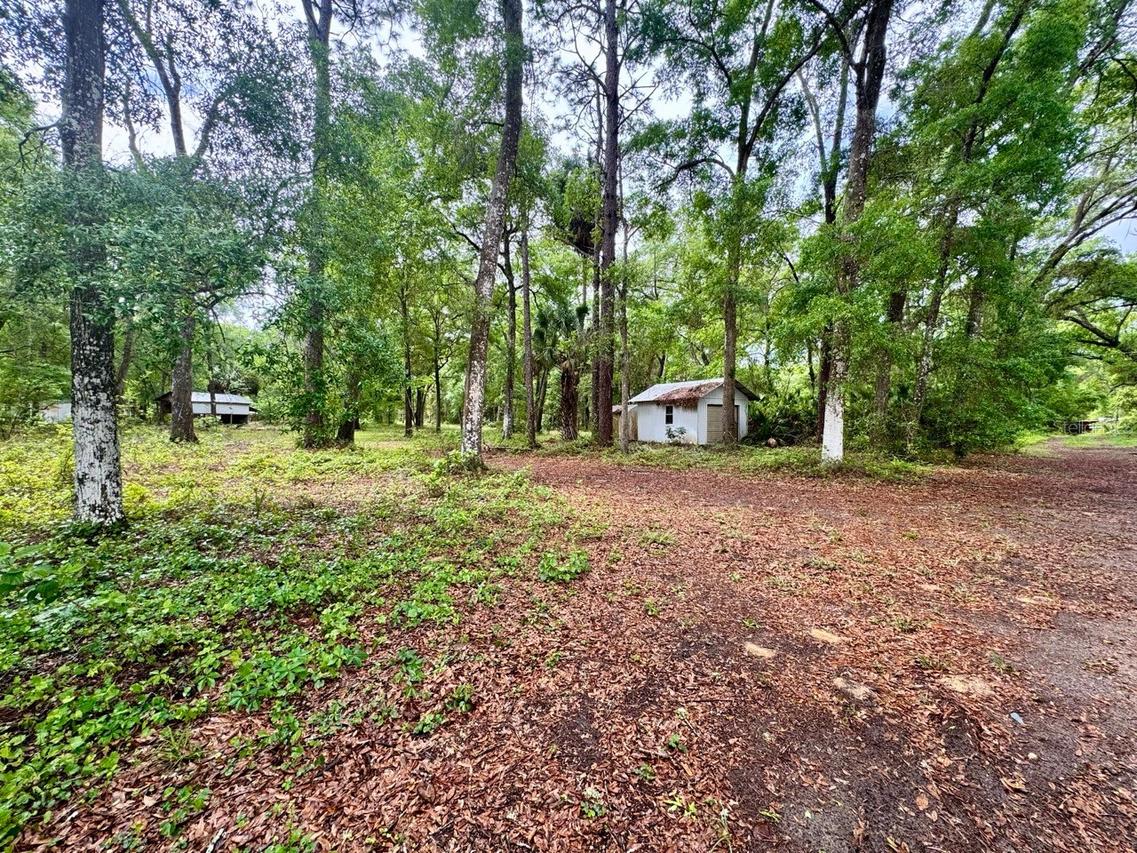 23714 NE 119th Pl., Salt Springs, FL 32134