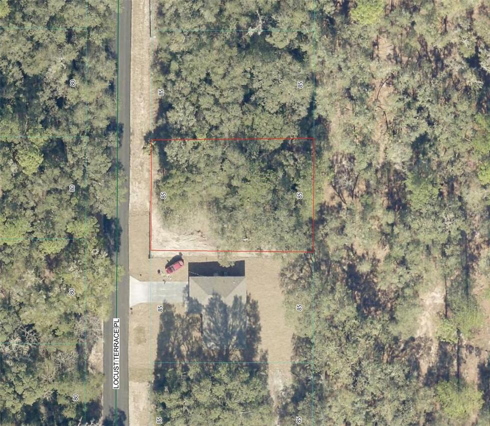 TBD Locust Terrace Pl., Ocala, FL 34472