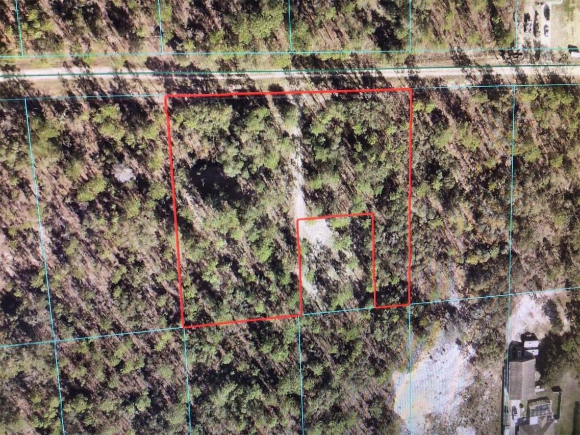 SW 87 St., Dunnellon, FL 34432