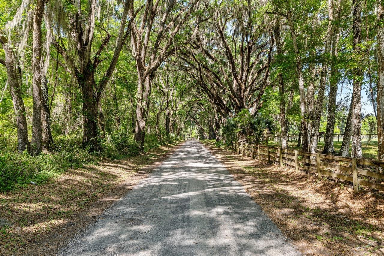 6405 NW 165th St., Reddick, FL 32686