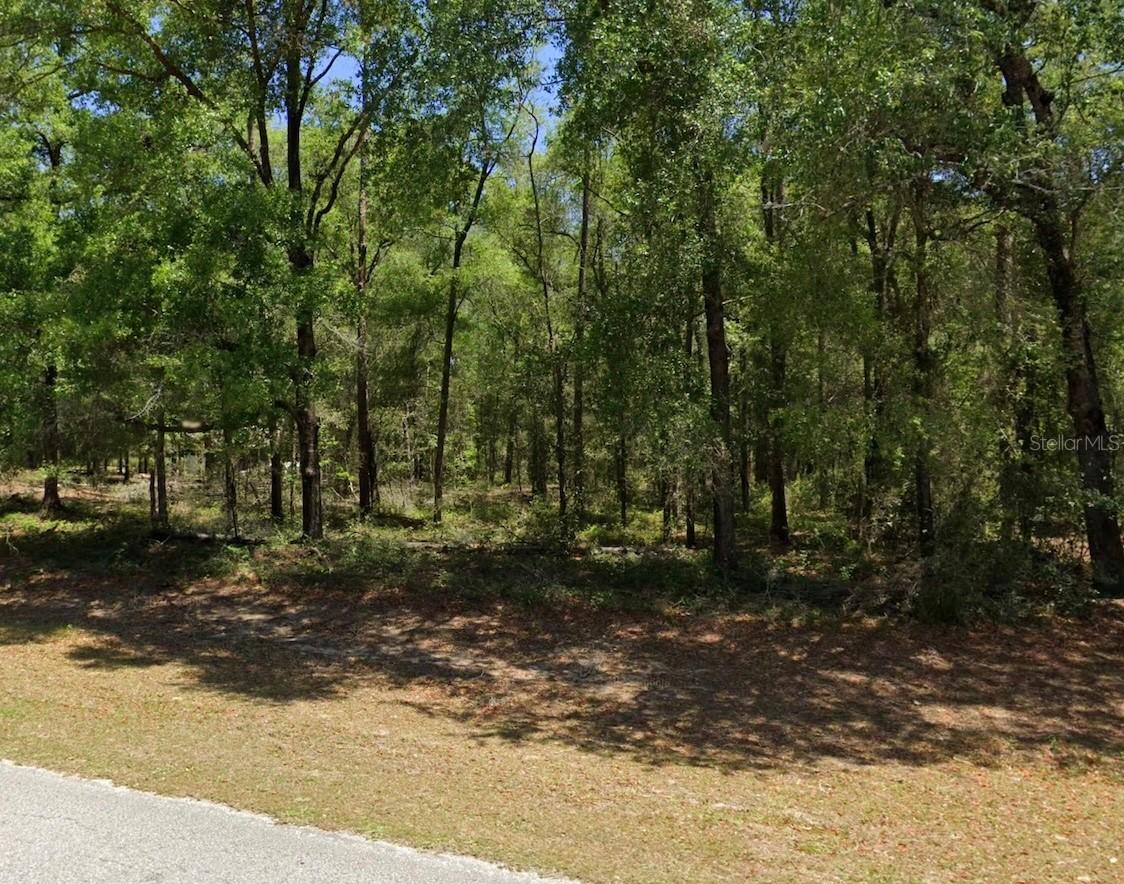 00 SW 102nd Street Road, Dunnellon, FL 34432