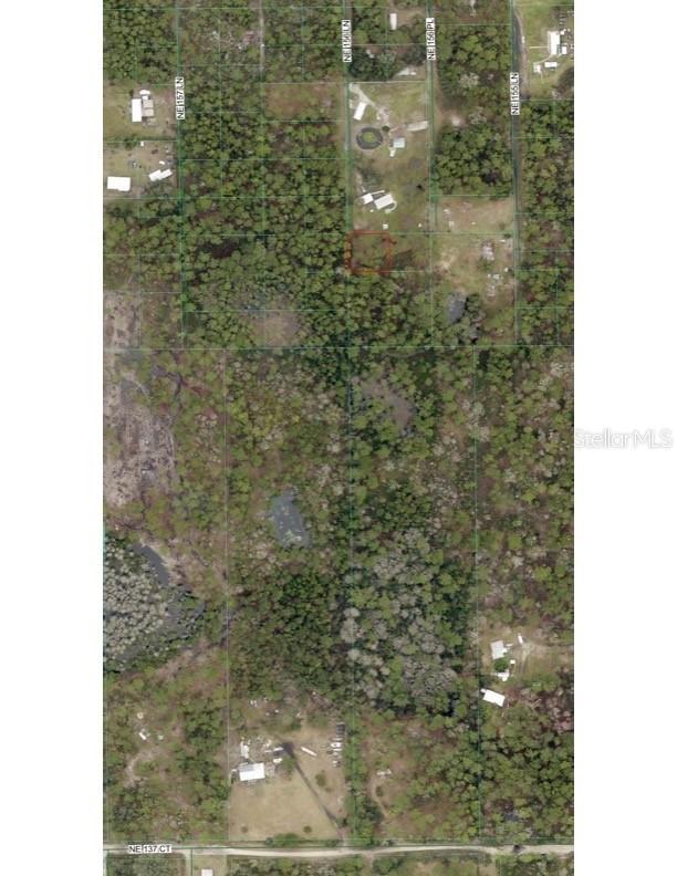 TBD NE 156 Ln., Fort Mc Coy, FL 32134