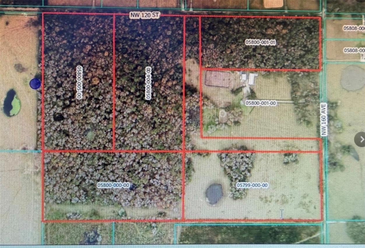 NW 160th St., Reddick, FL 32686