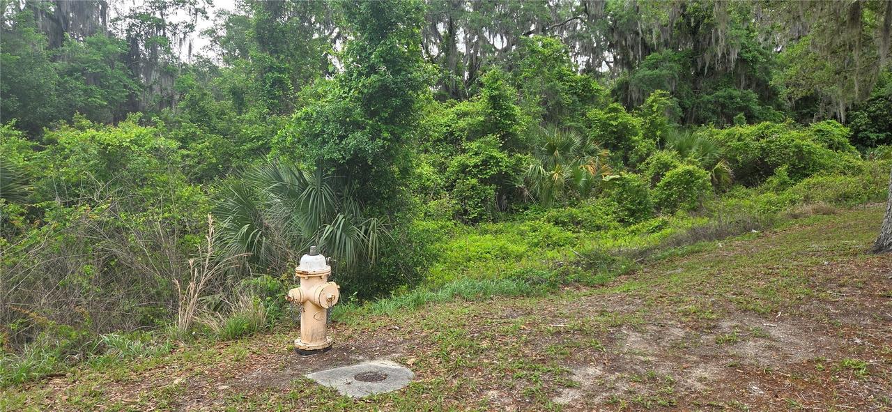 2392 N Heritage Oaks Path, Hernando, FL 34442