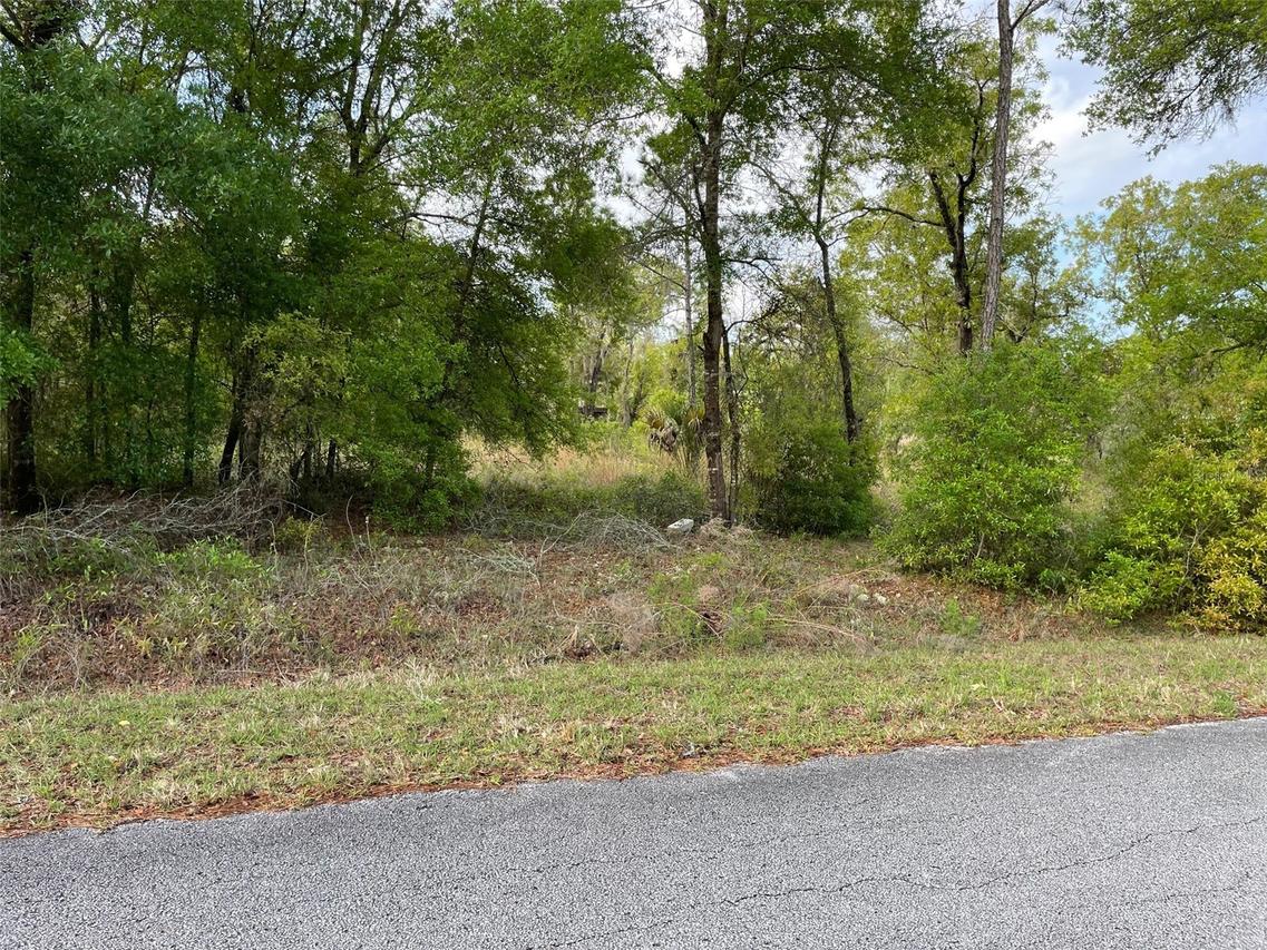LOT 4 SW Lakeland Heights Ave., Dunnellon, FL 34431