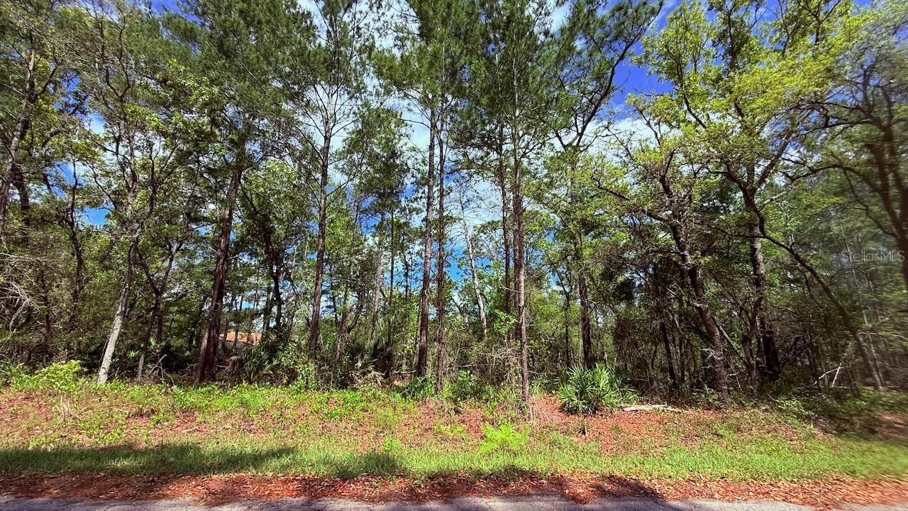 Lot 15 Bay Ct., Ocklawaha, FL 32179