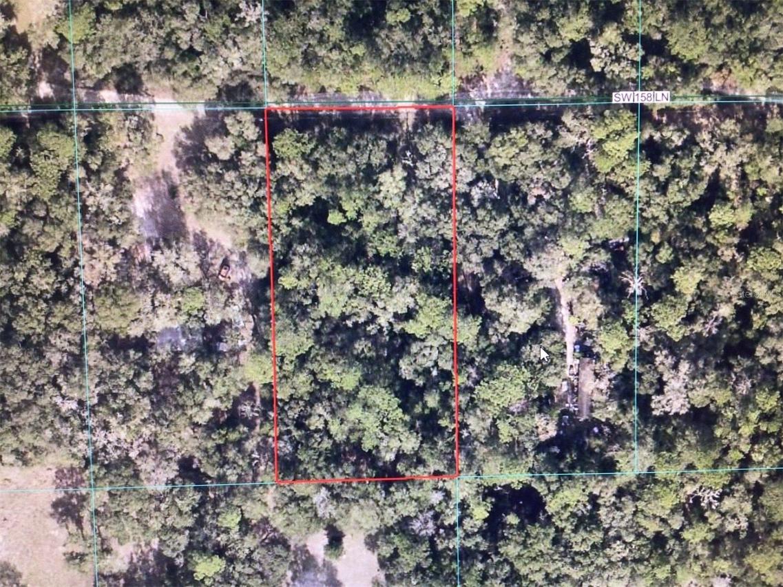 SW 158 Ln., Dunnellon, FL 34432