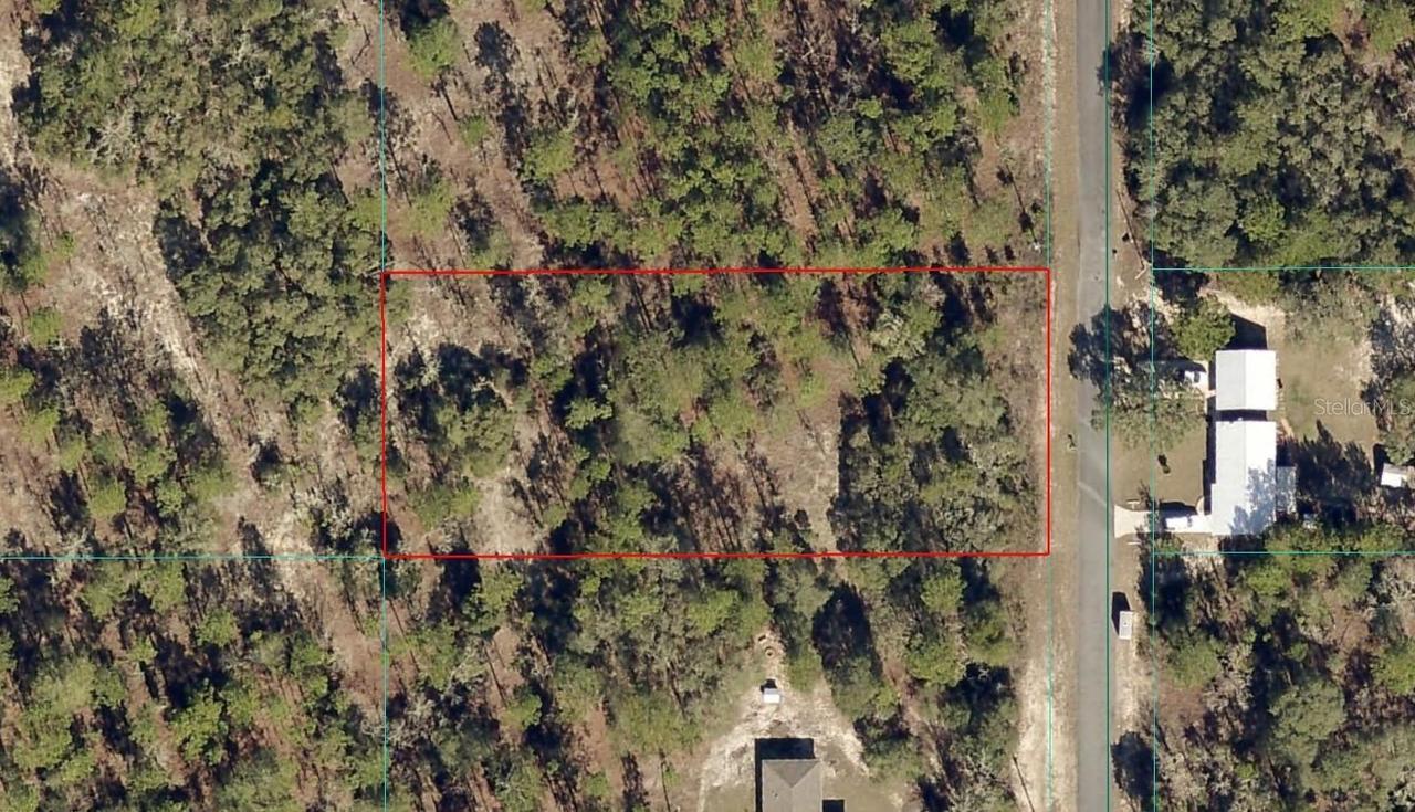 TBD LOT 2 SE Persimmon Land, Dunnellon, FL 34431