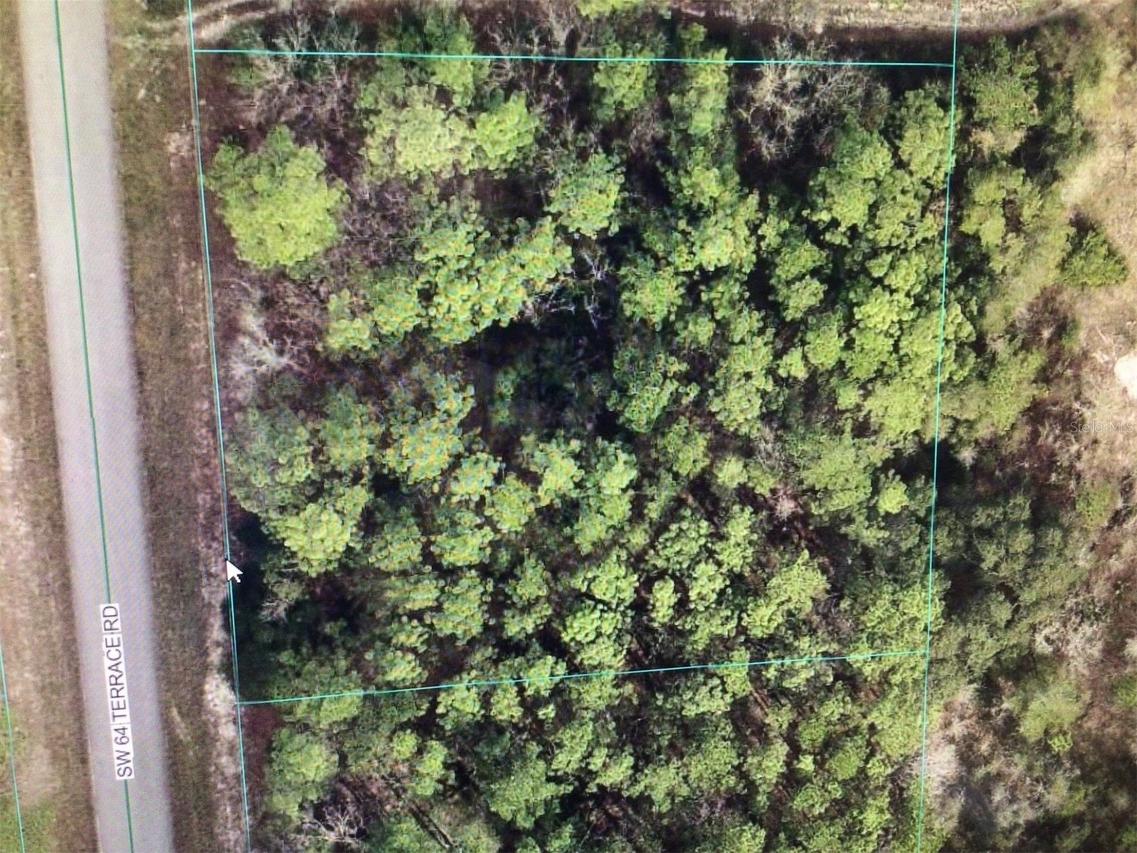 SW 64 Terrace Rd., Ocala, FL 34473