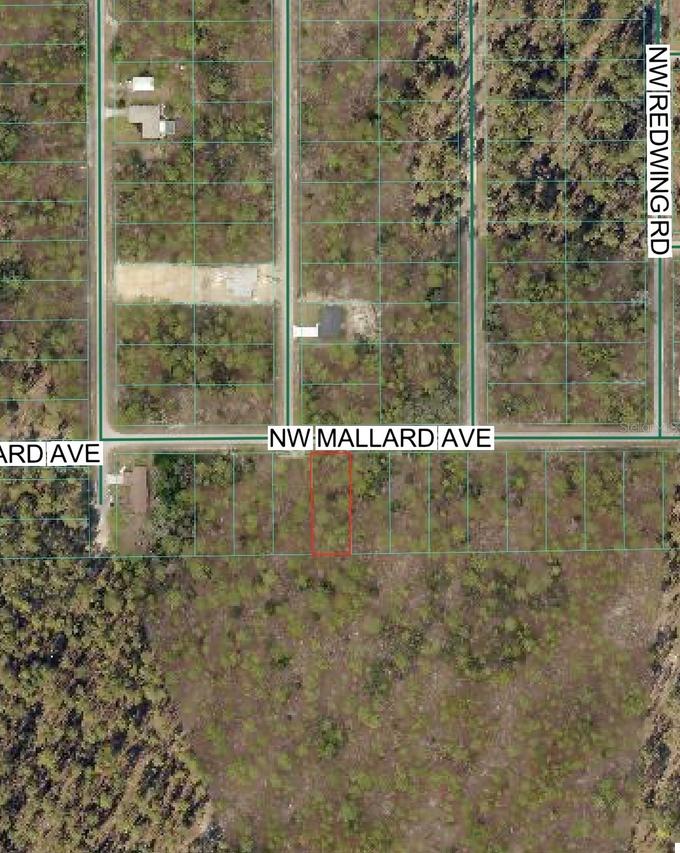 NW Mallard Ave., Dunnellon, FL 34431