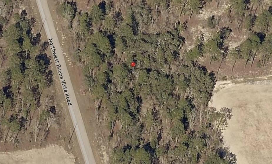 13 NW Buena Vista Rd., Dunnellon, FL 34431