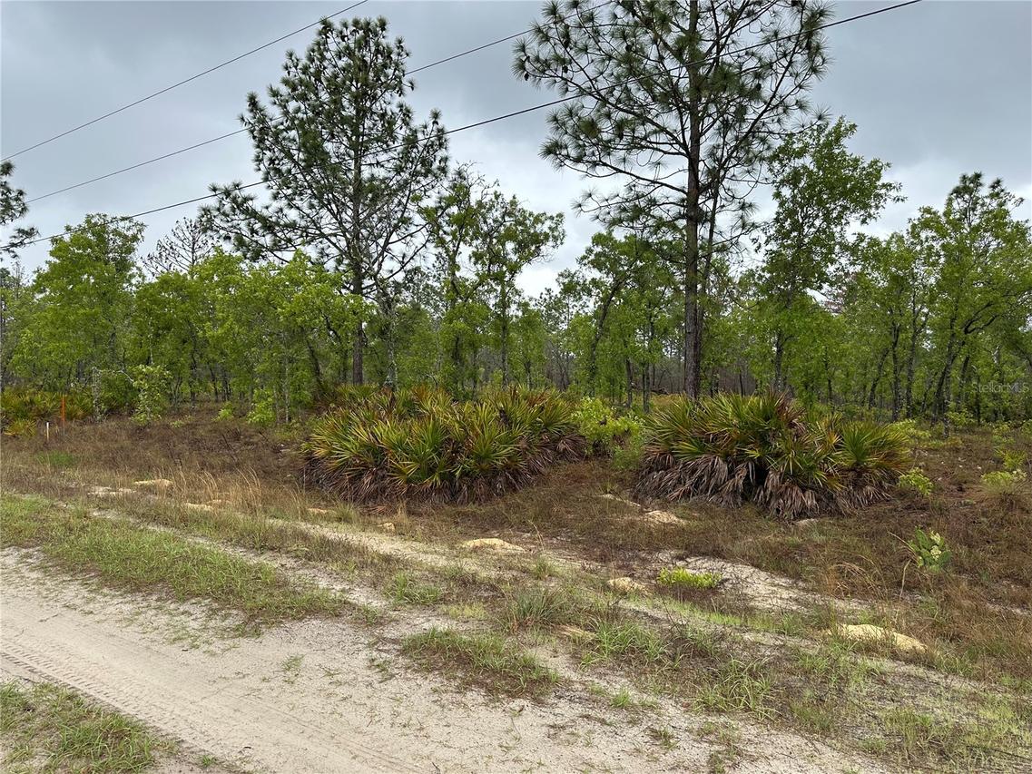 00 SW Sw 95th Pl Pl., Dunnellon, FL 34432
