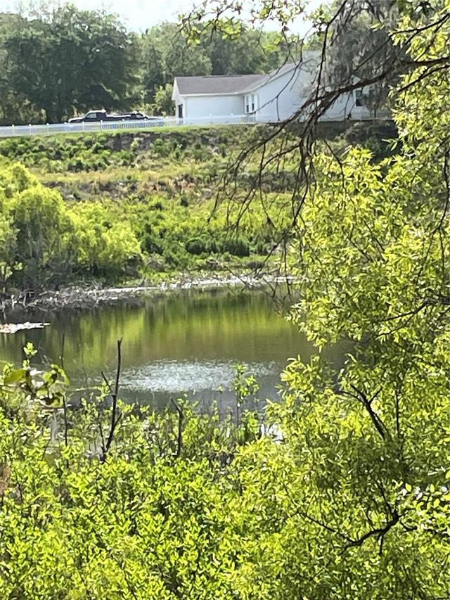 Redbud Rd., Lady Lake, FL 32159