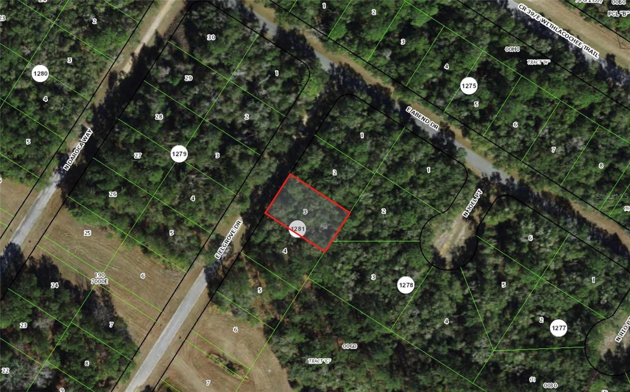 762 E Elgrove Dr., Dunnellon, FL 34434