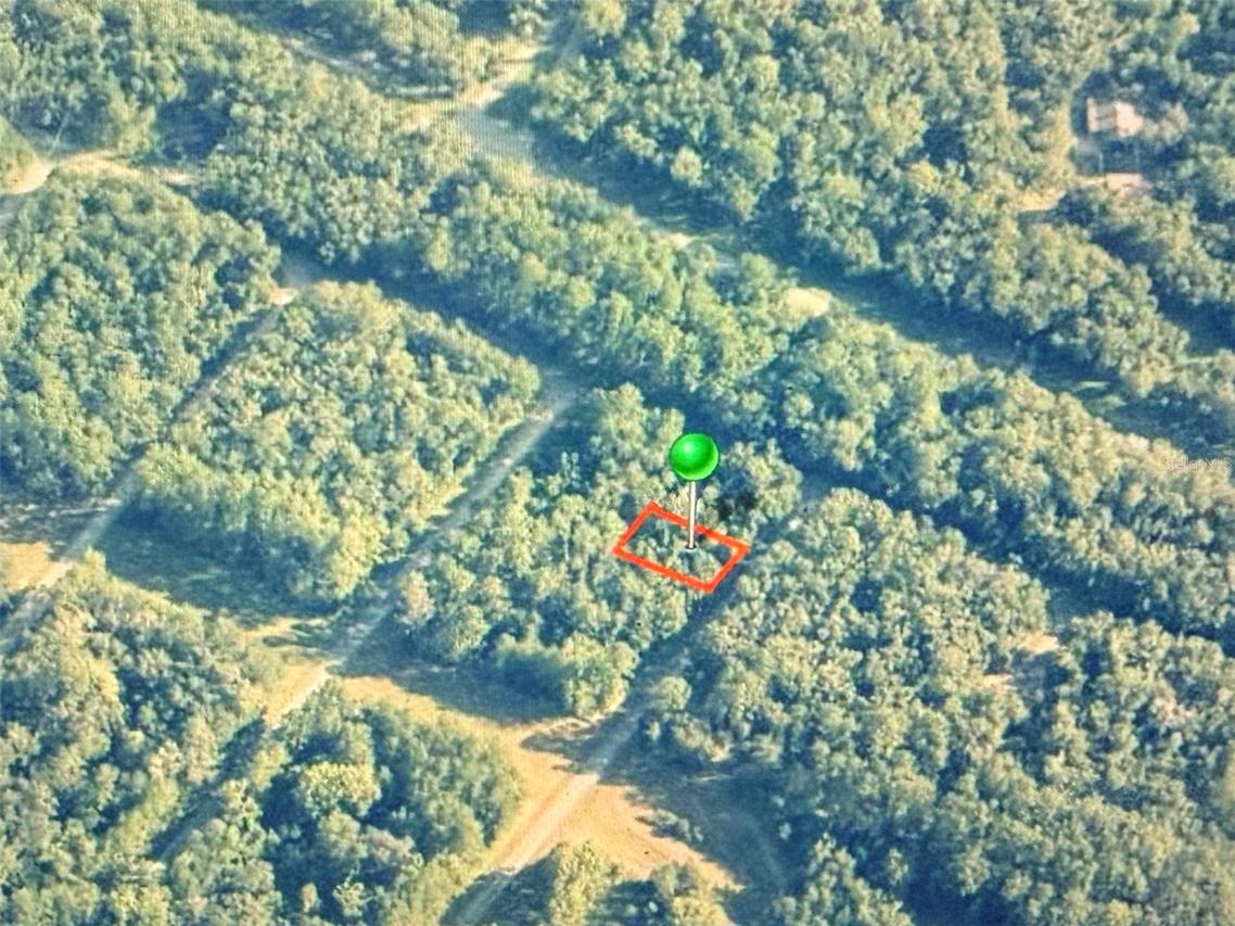 775 E Elgrove Dr., Citrus Springs, FL 34434