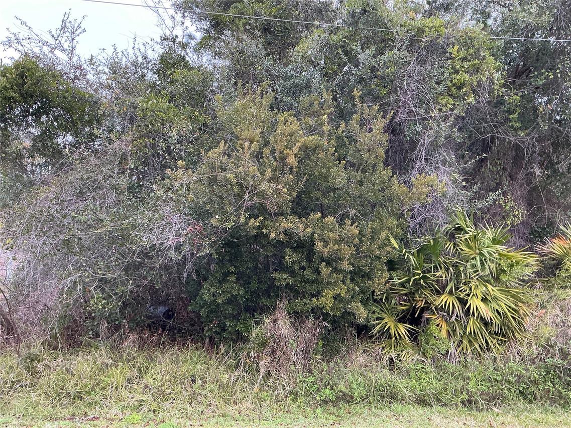 12 Fayy Ln., Palm Coast, FL 32137