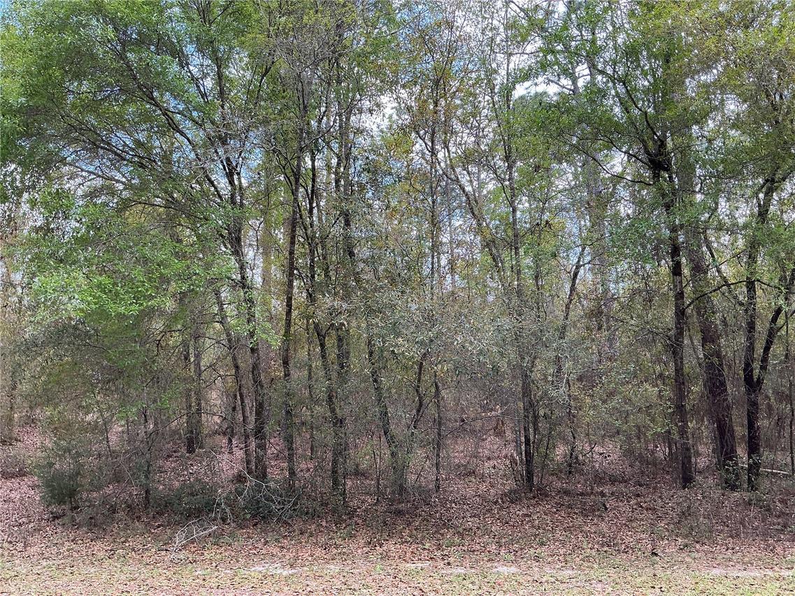 SW 208th Cir., Dunnellon, FL 34431