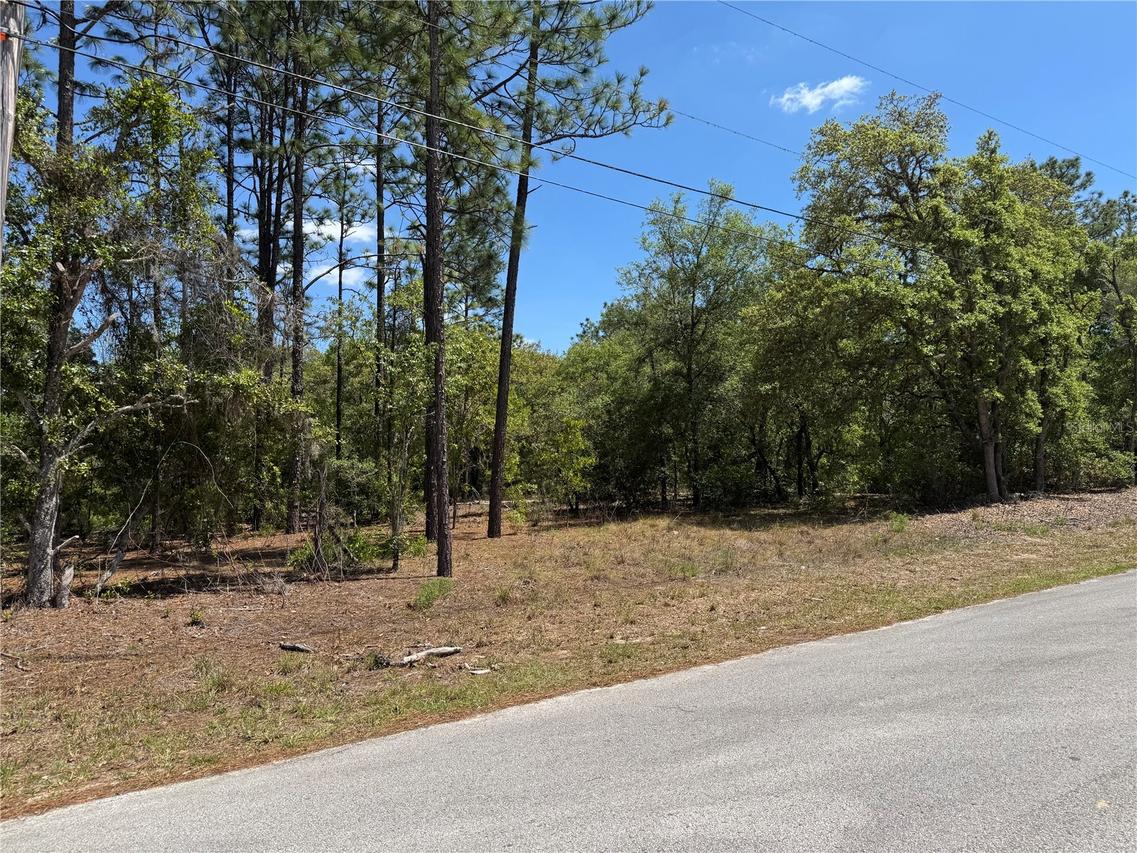 Lot 2 SW 59th Ln., Dunnellon, FL 34431