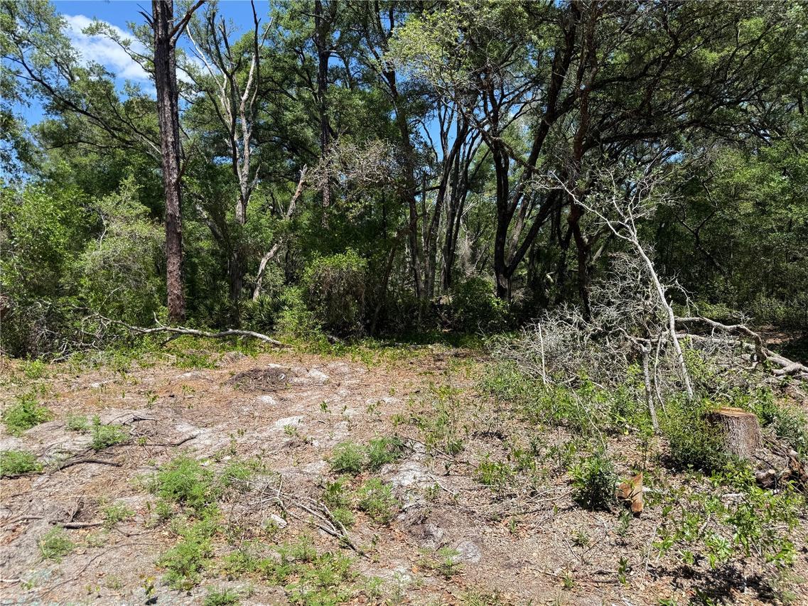 Fischer Lane Ct., Ocklawaha, FL 32179
