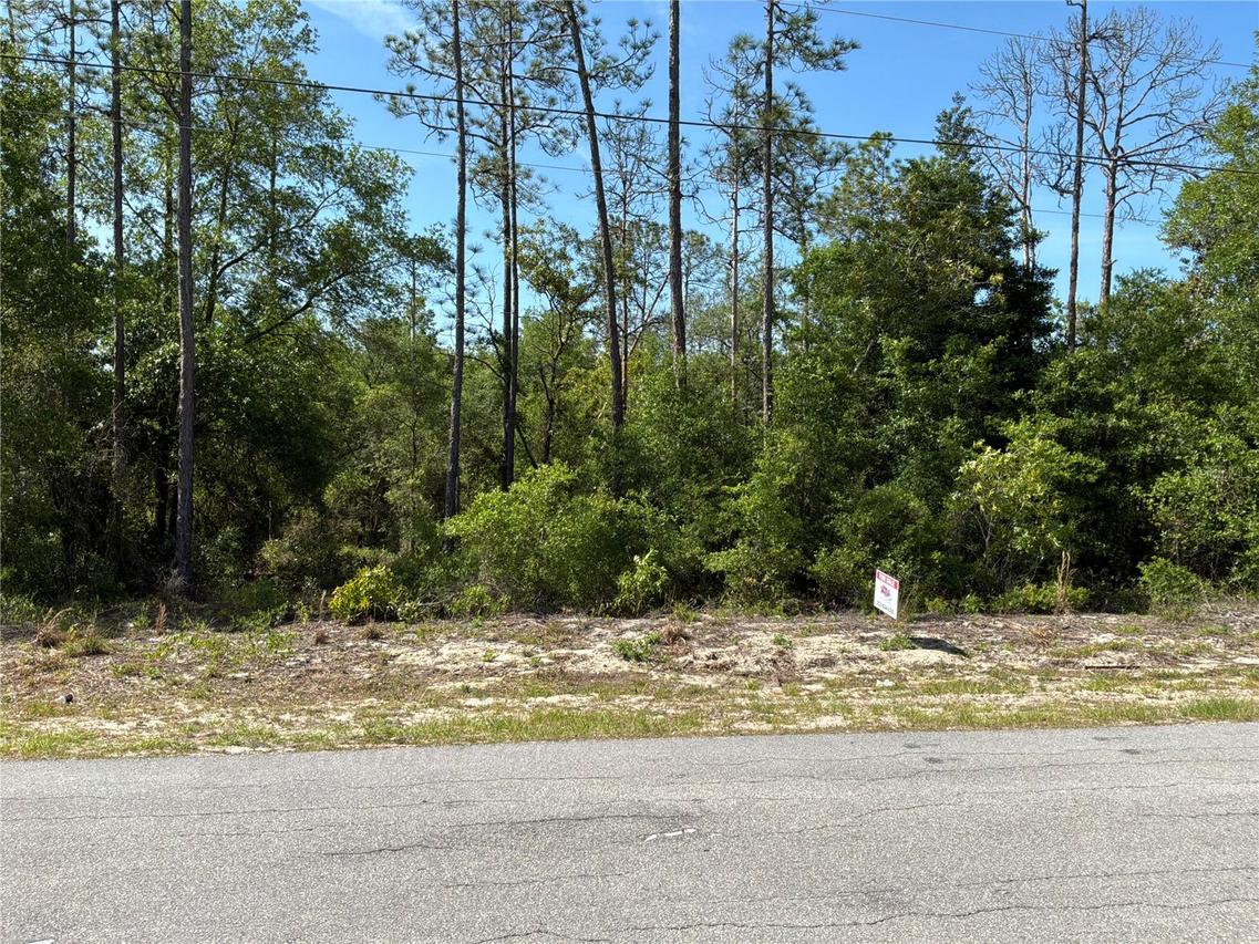 TBD SW Anchor Blvd. #20, Dunnellon, FL 34431