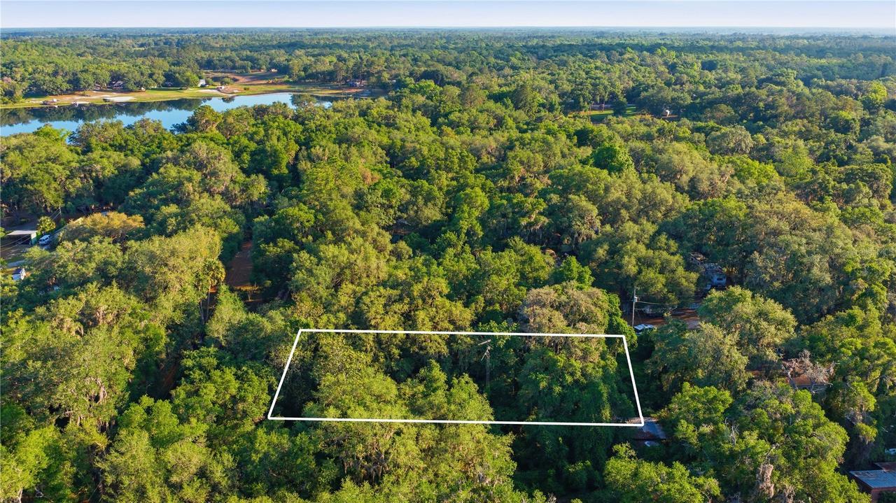 16780 SE 9th St., Silver Springs, FL 34488