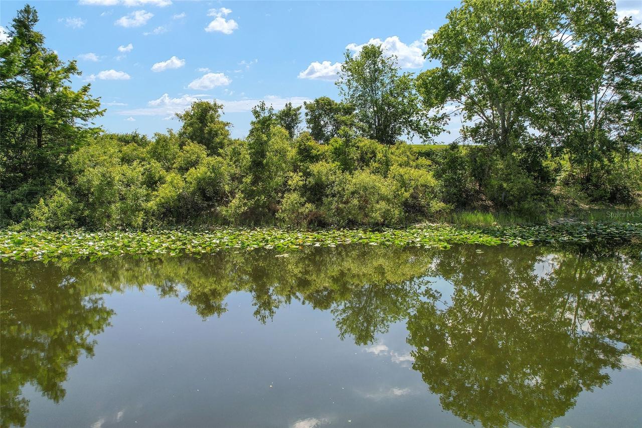 15120 SE 85th St., Ocklawaha, FL 32179