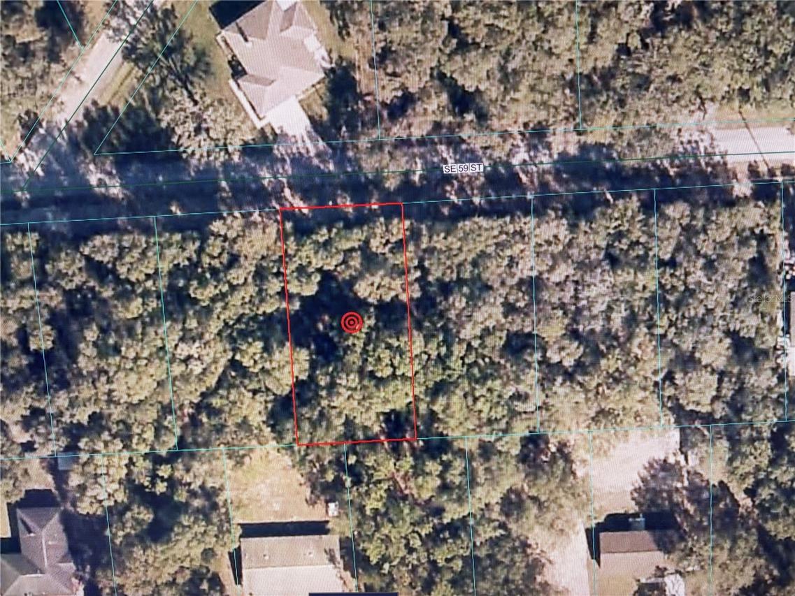 16604 SE 59th St., Ocklawaha, FL 32179